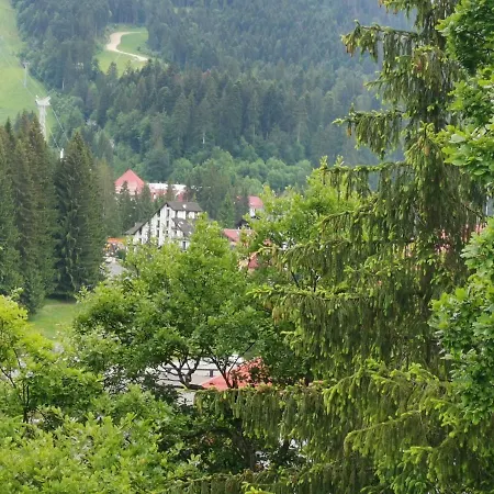 Condor 4* Poiana Brasov