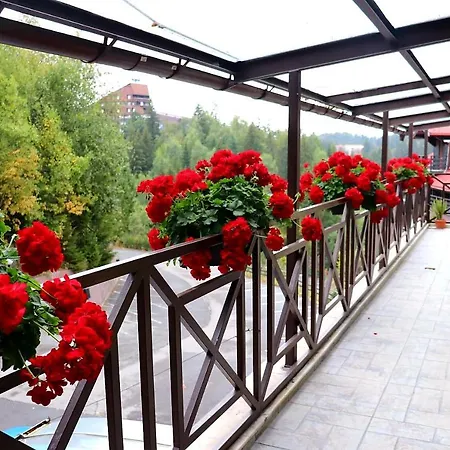 Guest house Condor Poiana Brasov