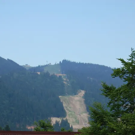 Condor Guest house Poiana Brasov