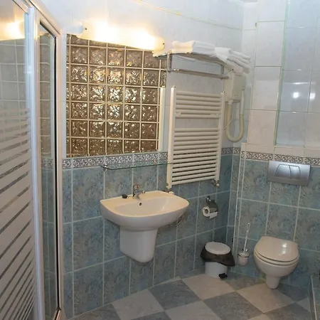 Condor Guest house Poiana Brasov