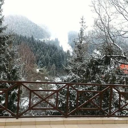 Condor 4*