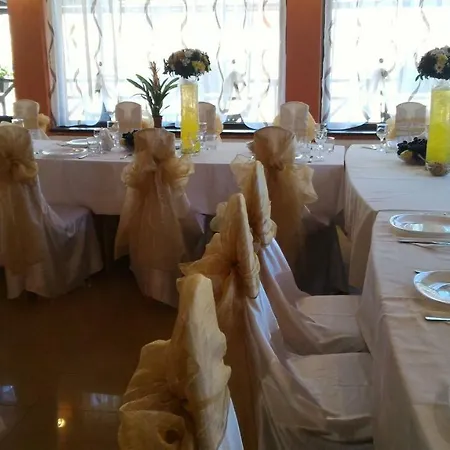 Condor 4*